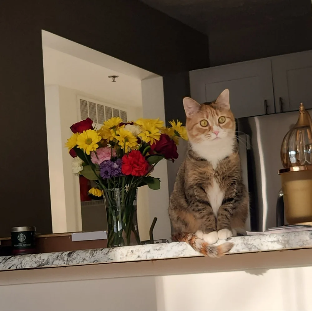 I'm LIVE!!! - Picture 5 of 8